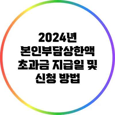 2024년 본인부담상한액 초과금 지급일 및 신청 방법