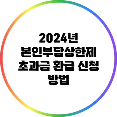 2024년 본인부담상한제 초과금 환급 신청 방법