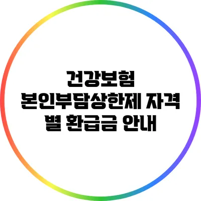 건강보험 본인부담상한제: 자격 별 환급금 안내