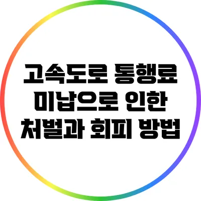 고속도로 통행료 미납으로 인한 처벌과 회피 방법