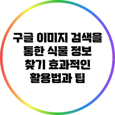 구글 이미지 검색을 통한 식물 정보 찾기: 효과적인 활용법과 팁