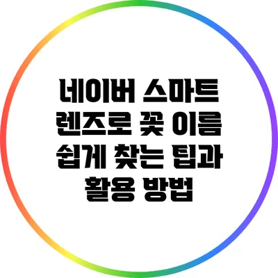 네이버 스마트 렌즈로 꽃 이름 쉽게 찾는 팁과 활용 방법