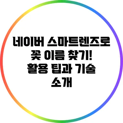 네이버 스마트렌즈로 꽃 이름 찾기! 활용 팁과 기술 소개