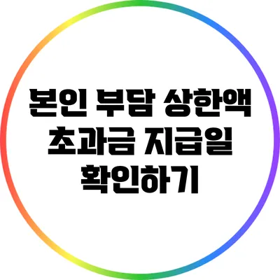 본인 부담 상한액 초과금 지급일 확인하기
