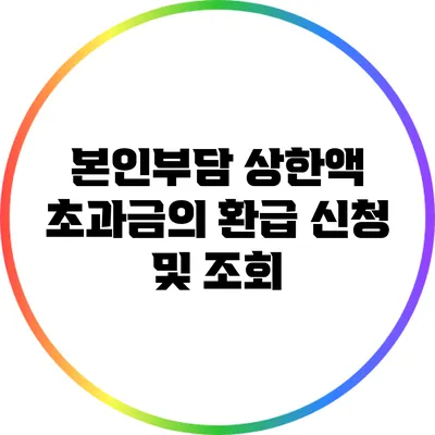 본인부담 상한액 초과금의 환급 신청 및 조회