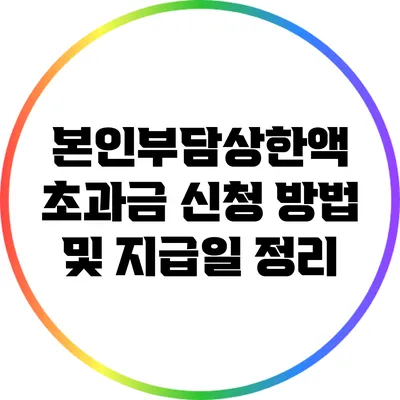 본인부담상한액 초과금 신청 방법 및 지급일 정리
