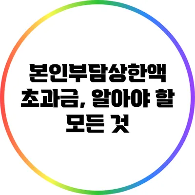 본인부담상한액 초과금, 알아야 할 모든 것