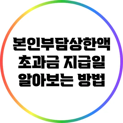 본인부담상한액 초과금 지급일 알아보는 방법