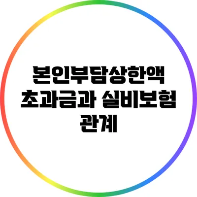 본인부담상한액 초과금과 실비보험 관계