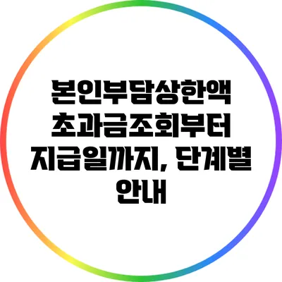 본인부담상한액 초과금조회부터 지급일까지, 단계별 안내