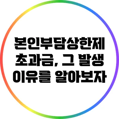 본인부담상한제 초과금, 그 발생 이유를 알아보자