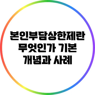 본인부담상한제란 무엇인가? 기본 개념과 사례