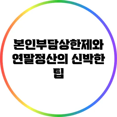 본인부담상한제와 연말정산의 신박한 팁