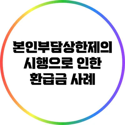 본인부담상한제의 시행으로 인한 환급금 사례