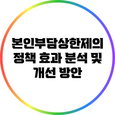 본인부담상한제의 정책 효과 분석 및 개선 방안