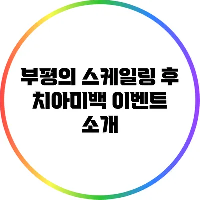 부평의 스케일링 후 치아미백 이벤트 소개