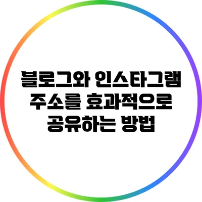 블로그와 인스타그램 주소를 효과적으로 공유하는 방법