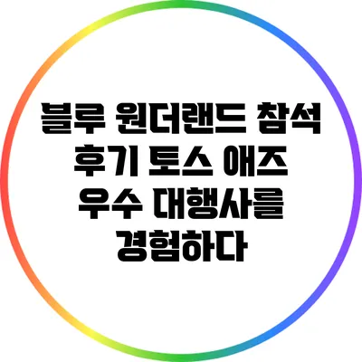 블루 원더랜드 참석 후기: 토스 애즈 우수 대행사를 경험하다