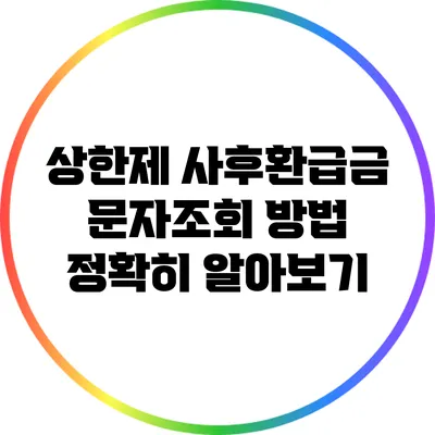 상한제 사후환급금 문자조회 방법 정확히 알아보기