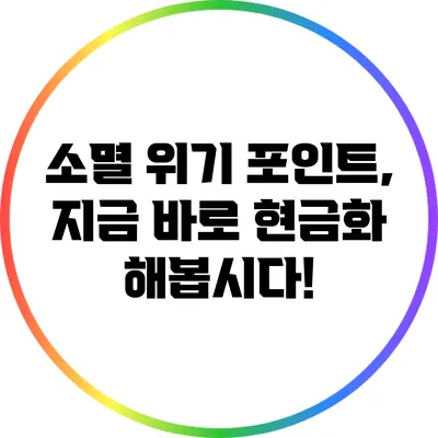 소멸 위기 포인트, 지금 바로 현금화 해봅시다!