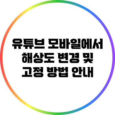 유튜브 모바일에서 해상도 변경 및 고정 방법 안내