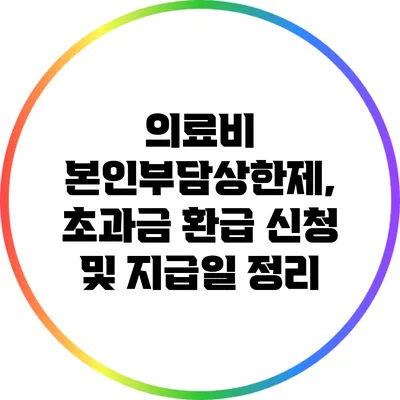 의료비 본인부담상한제, 초과금 환급 신청 및 지급일 정리