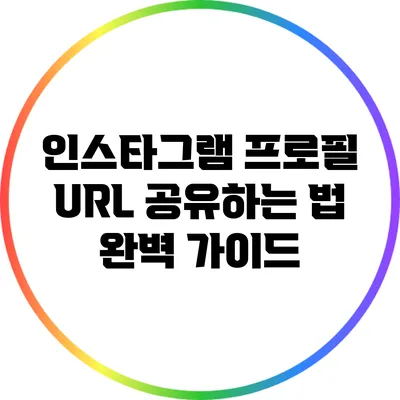 인스타그램 프로필 URL 공유하는 법 완벽 가이드