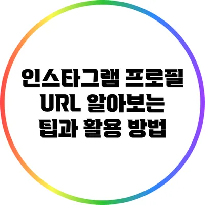 인스타그램 프로필 URL 알아보는 팁과 활용 방법