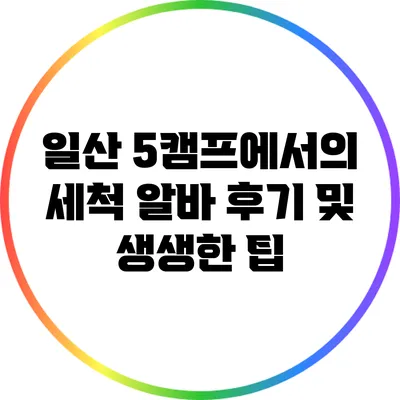 일산 5캠프에서의 세척 알바 후기 및 생생한 팁