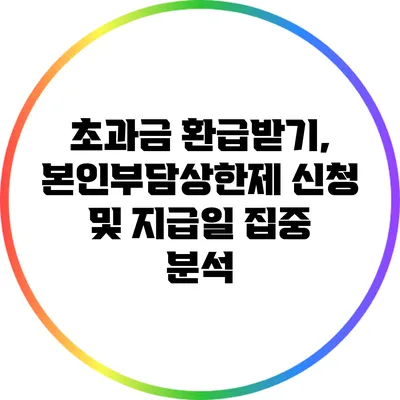 초과금 환급받기, 본인부담상한제 신청 및 지급일 집중 분석