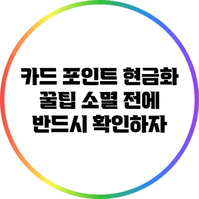 카드 포인트 현금화 꿀팁: 소멸 전에 반드시 확인하자