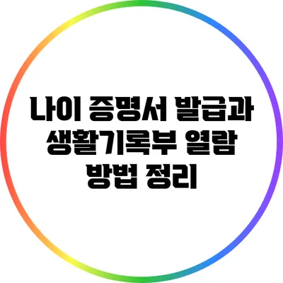 나이 증명서 발급과 생활기록부 열람 방법 정리