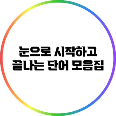 눈으로 시작하고 끝나는 단어 모음집