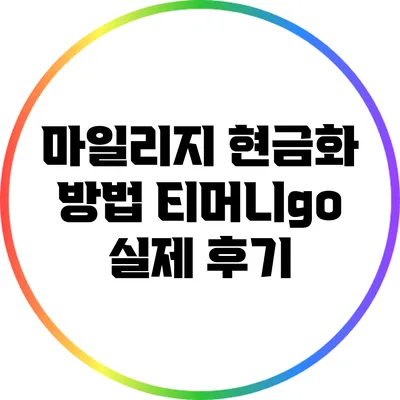 마일리지 현금화 방법 티머니go 실제 후기