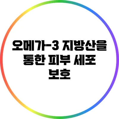 오메가-3 지방산을 통한 피부 세포 보호