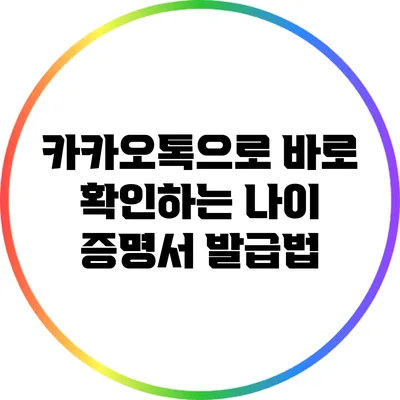 카카오톡으로 바로 확인하는 나이 증명서 발급법