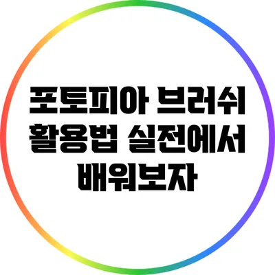 포토피아 브러쉬 활용법 실전에서 배워보자