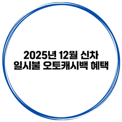 2025년 12월 신차 일시불 오토캐시백 혜택