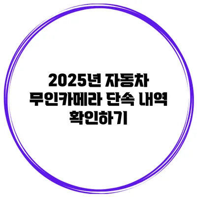 2025년 자동차 무인카메라 단속 내역 확인하기