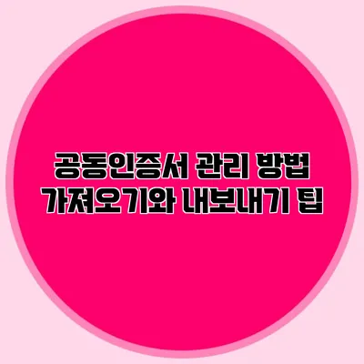 공동인증서 관리 방법 가져오기와 내보내기 팁