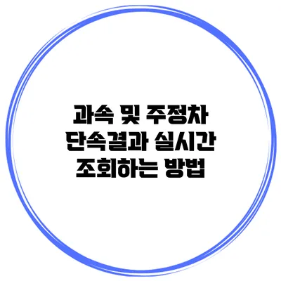 과속 및 주정차 단속결과 실시간 조회하는 방법