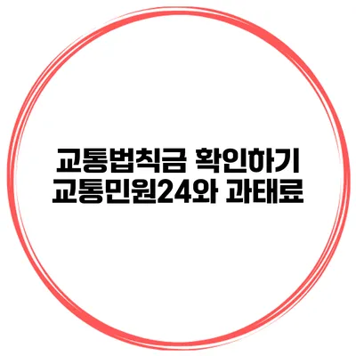 교통법칙금 확인하기 교통민원24와 과태료