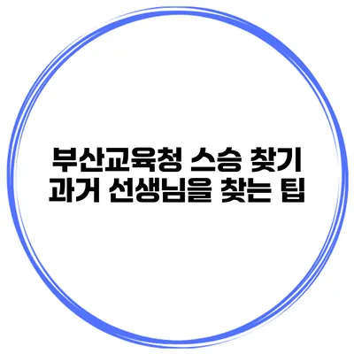 부산교육청 스승 찾기 과거 선생님을 찾는 팁