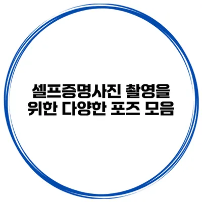 셀프증명사진 촬영을 위한 다양한 포즈 모음