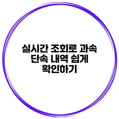 실시간 조회로 과속 단속 내역 쉽게 확인하기