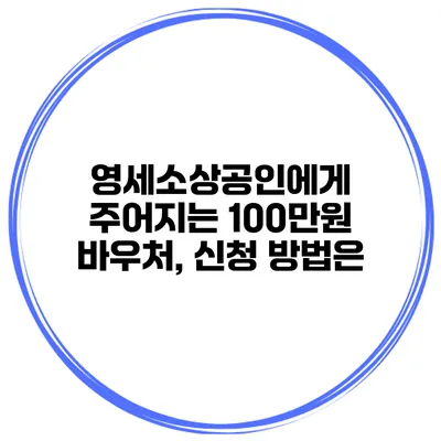 영세소상공인에게 주어지는 100만원 바우처, 신청 방법은?