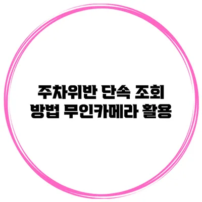 주차위반 단속 조회 방법 무인카메라 활용
