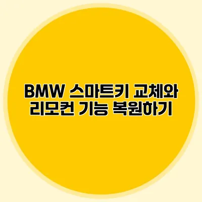 BMW 스마트키 교체와 리모컨 기능 복원하기