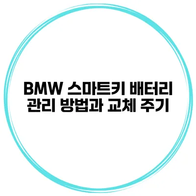 BMW 스마트키 배터리 관리 방법과 교체 주기
