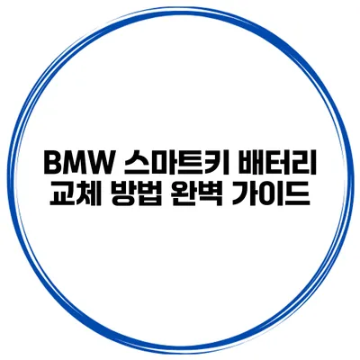 BMW 스마트키 배터리 교체 방법 완벽 가이드